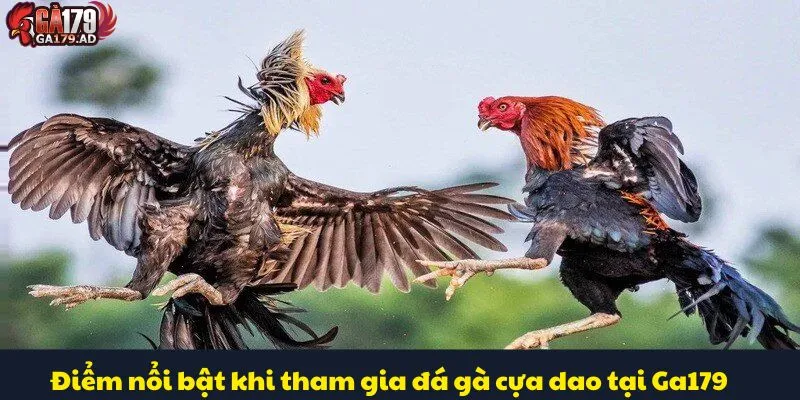 Đá Gà Cựa Dao – Đỉnh Cao Nghệ Thuật Của Làng Chọi Gà 4 Điểm nổi bật khi tham gia đá gà cựa dao tại Ga179