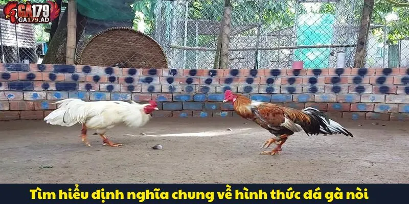Đá Gà Nòi Là Gì? Tìm Hiểu Về Lịch Sử Và Đặc Điểm Nổi Bật 2 Tìm hiểu định nghĩa chung về hình thức đá gà nòi